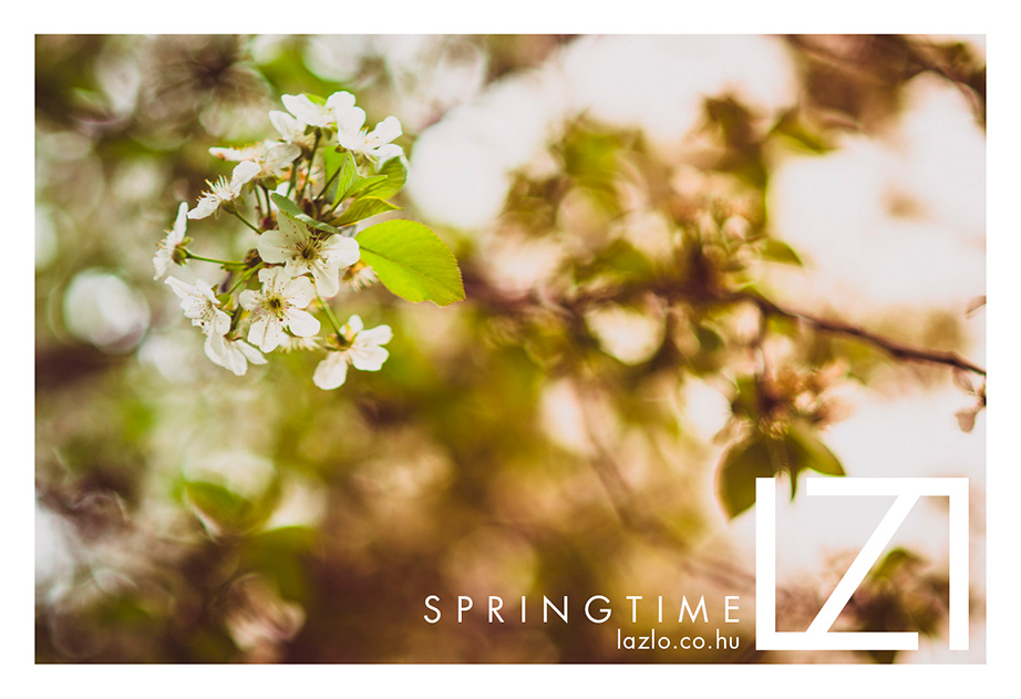 Springtime_02